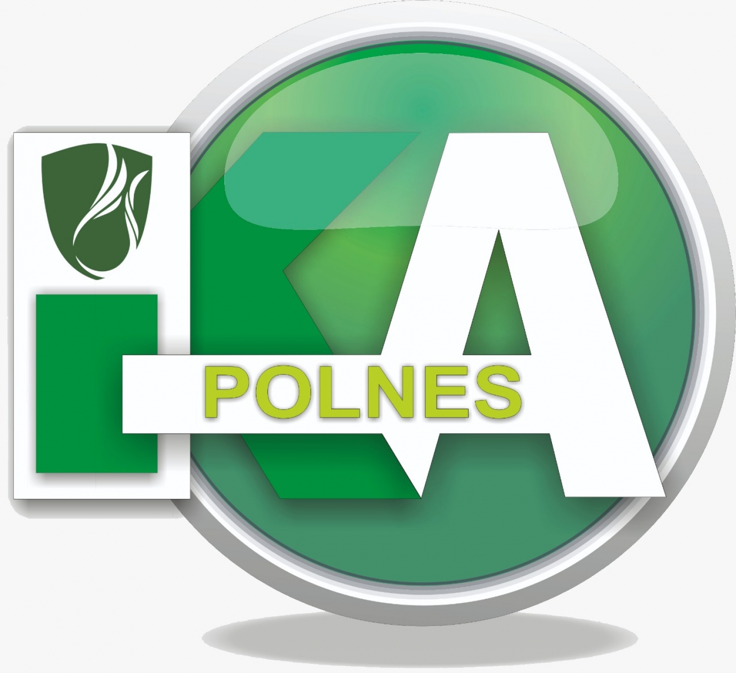 Pendaftran Keanggotaan IKA polnes 2019